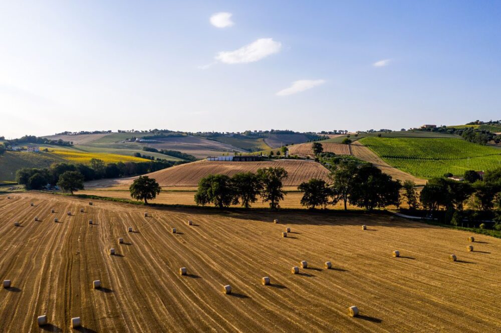 Tjestenina iz Italije