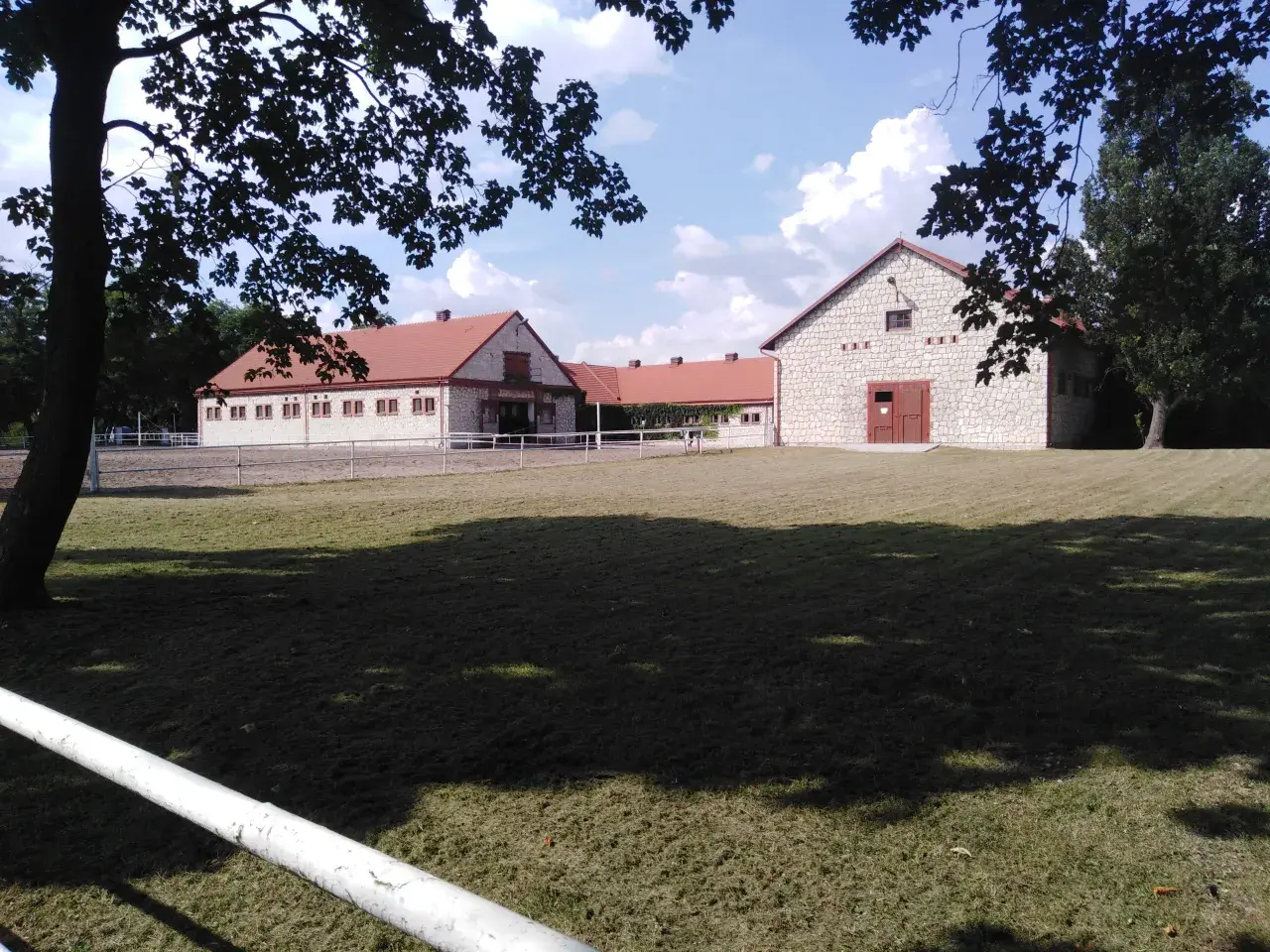 Arapski konji u Poljskoj