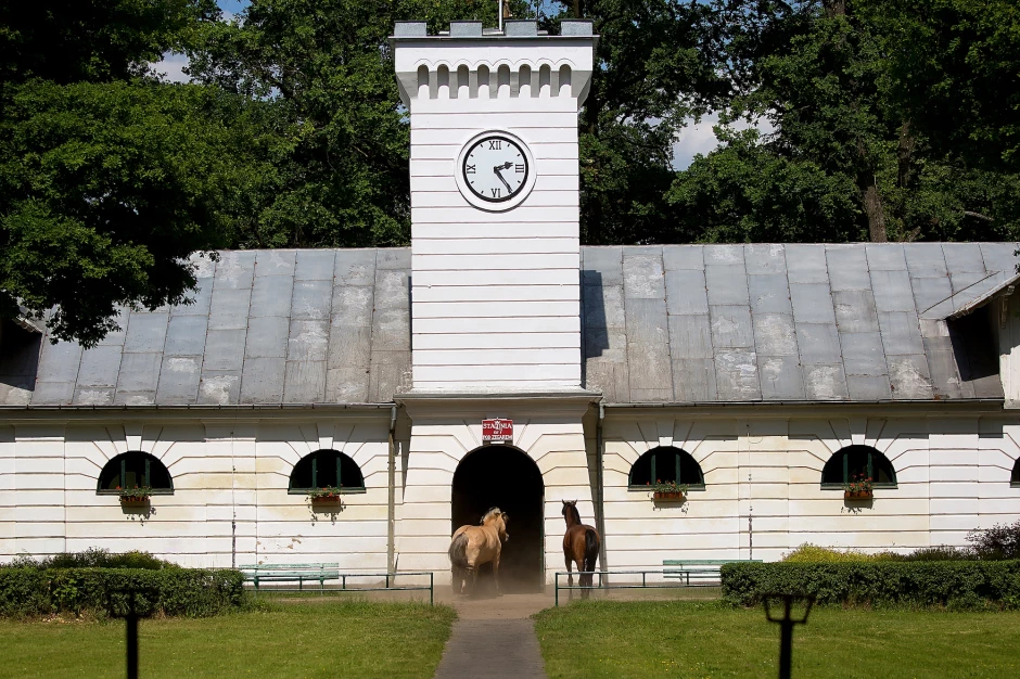Ergela arapskih konja u Poljskoj
