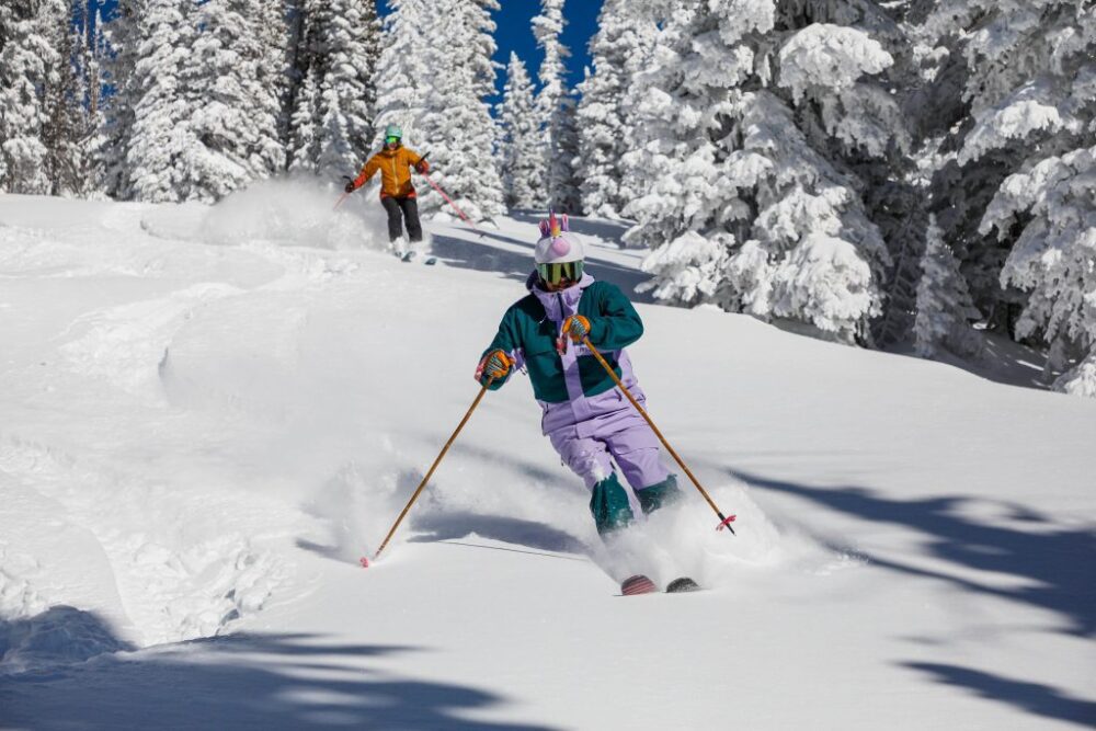 Koliko koštaju premium skije