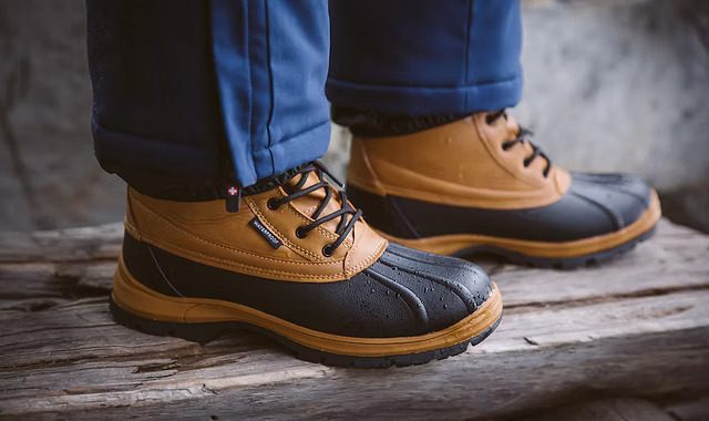 Vertigo Alpes – što je to za tvrtka?