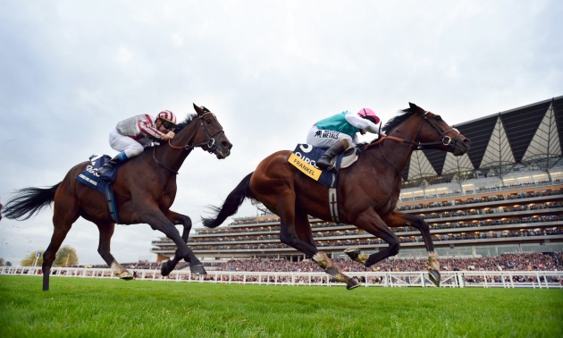 Frankel pobjeđuje ispred Cirrus Des Aigles 20 10 12 Slika Bill Selwyn