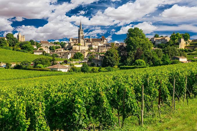 Bordeaux Regija Vinarstva
