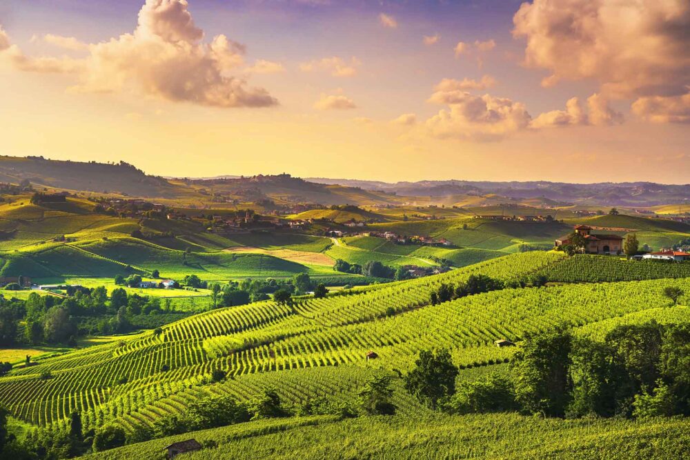 Panorama zalaska sunca nad vinogradima Langhe, Barolo, Pijemont, Italija Europa