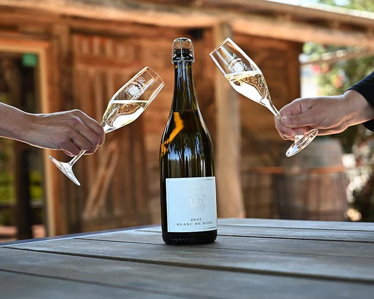 Blanc De Blancs Vs Blanc De Noirs Cijena