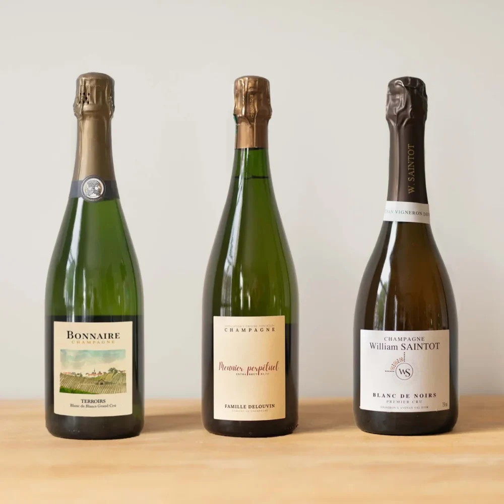 Blanc De Blancs Vs Blanc De Noirs Razlike